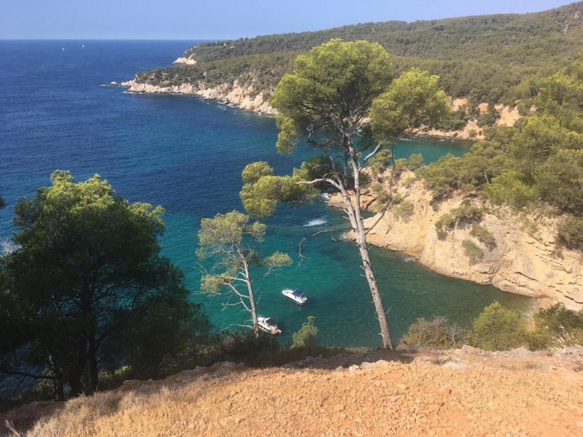 Sanary Sur Mer Appartement 30M2 T2 Avec Terrasse Piscine 10Min A Pied De La Plage Zewnętrze zdjęcie